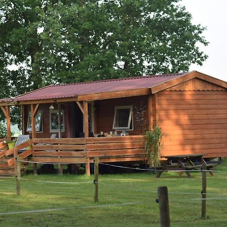 Апартаменты Tiny House Het Reebokje Vriescheloo Экстерьер фото
